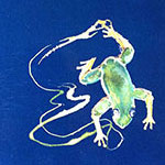 The Jade Frog – the second mystery in the Chilcotin trilogy